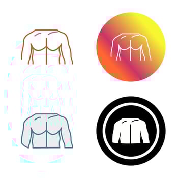 Unique Chest Vector Icon