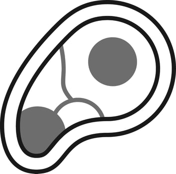 meat Vector Icon