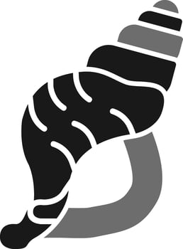 Conch Shell Vector Icon