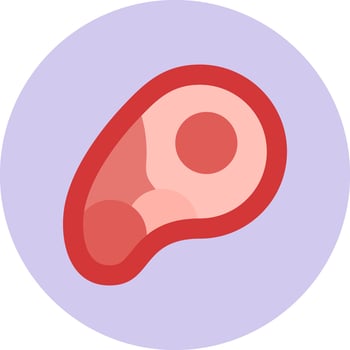 meat Vector Icon