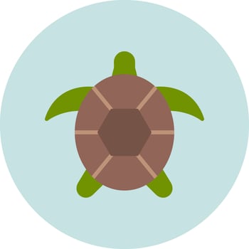 Turtle Vector Icon