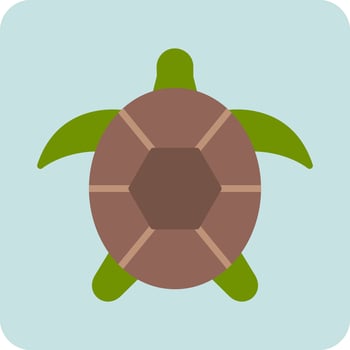 Turtle Vector Icon