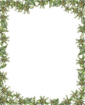 Flowers square frame with dahlia. png