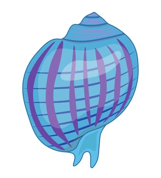 Vector cartoon illustration of colorful seashells on white background.