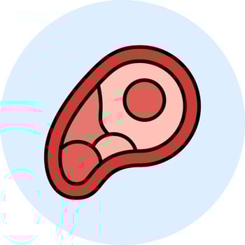 meat Vector Icon