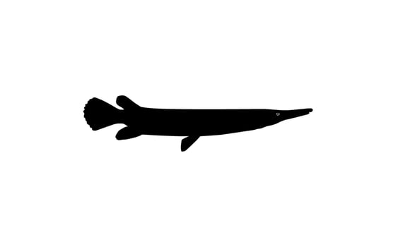 Alligator Fish Silhouette, can use for Art Illustration Logo Gram, Pictogram, Website, or Graphic Design Element. Vector Illustration