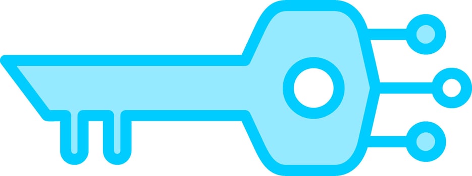 Digital Key Vector Icon
