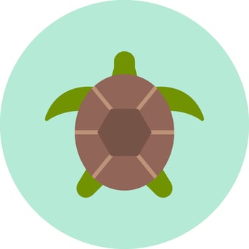 Turtle Vector Icon