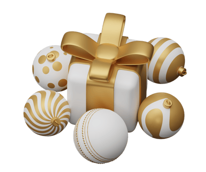 cricket ball christmas gift png
