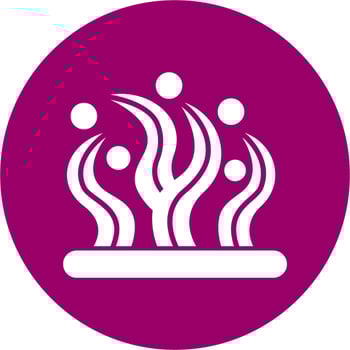 Seaweed Vector Icon