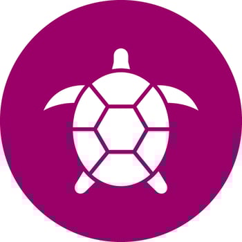 Turtle Vector Icon