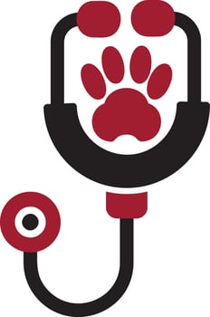 stethoscope Vector Icon