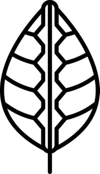Maranta Vector Icon