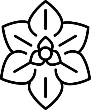 Euphorbia Pulcherrima Vector Icon
