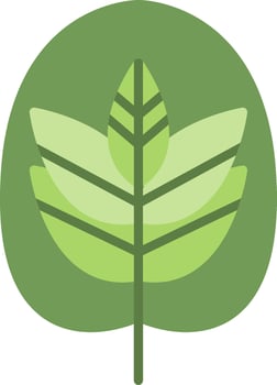 Calathea Vector Icon