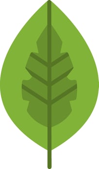 Red Aglaonema Vector Icon