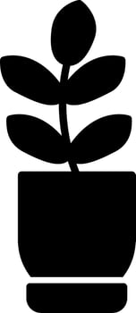 Ficus Elastica Vector Icon