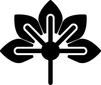 Japanese Aralia Vector Icon