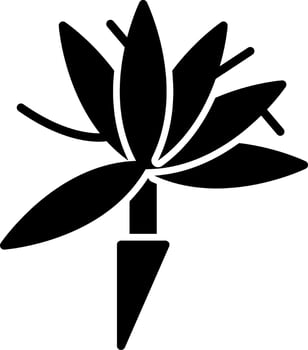 Bird Of Paradise Vector Icon