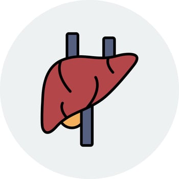 Liver Vector Icon