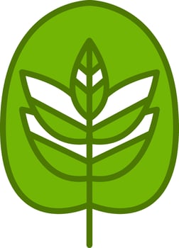 Calathea Vector Icon