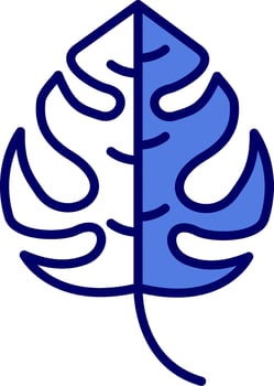 Monstera Vector Icon
