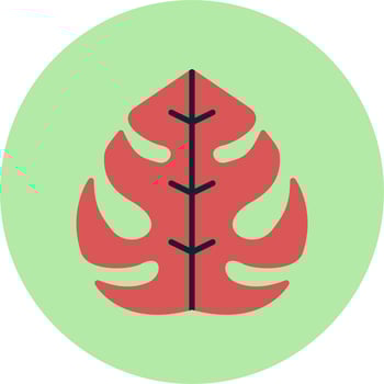 Philodendron Vector Icon
