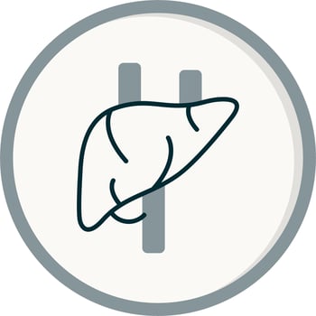 Liver Vector Icon