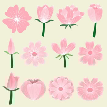 Botanical flower illustration vector