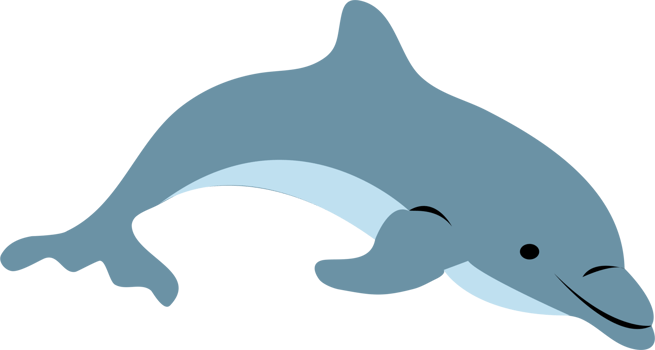a cute dolphin png