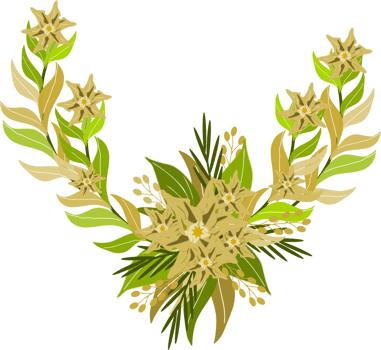 Leaves bouquet clipart png