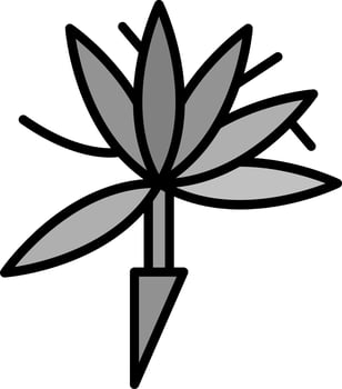 Bird Of Paradise Vector Icon