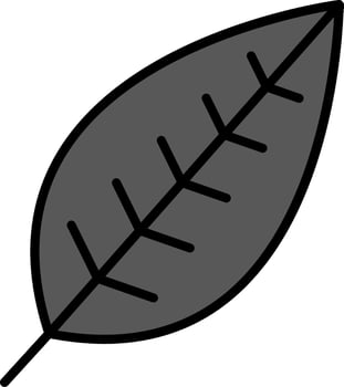 HelVector Iconia Vector Icon