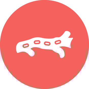 Artery Vector Icon