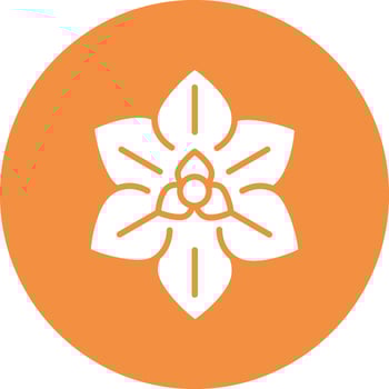 Euphorbia Pulcherrima Vector Icon