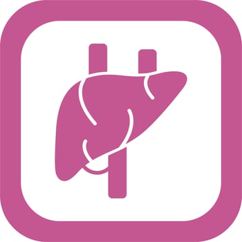 Liver Vector Icon