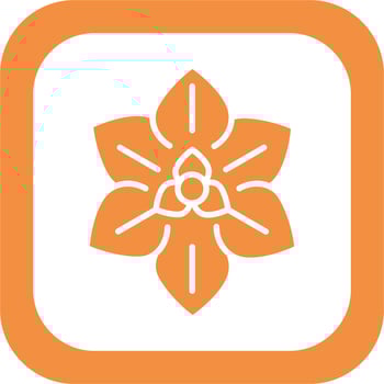 Euphorbia Pulcherrima Vector Icon