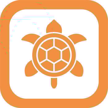 Turtle Vector Icon