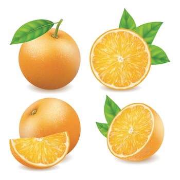 Realistic Detailed 3d Fresh Ripe Whole and Slice of Oranges Set. Vector