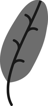 Banana Leaf Vector Icon