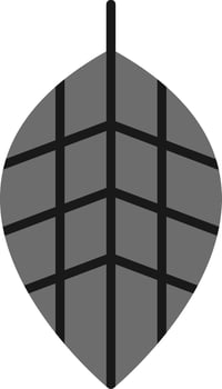 Fittonia Vector Icon