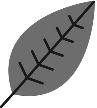 HelVector Iconia Vector Icon