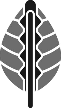 Maranta Vector Icon