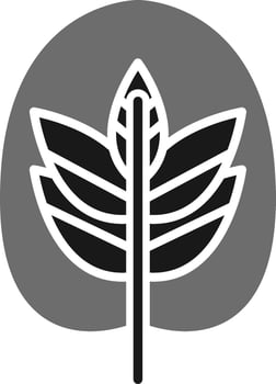 Calathea Vector Icon
