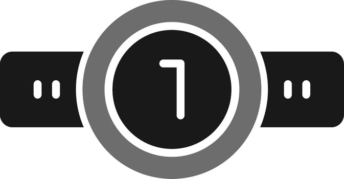 Belt Vector Icon
