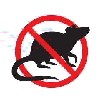 Vector sign with rat under crossed circle