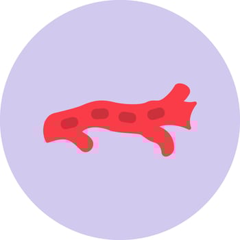 Artery Vector Icon