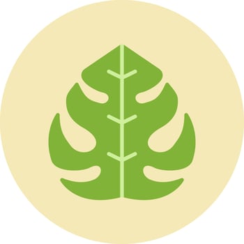 Philodendron Vector Icon