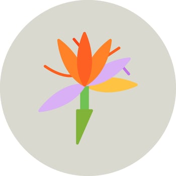 Bird Of Paradise Vector Icon