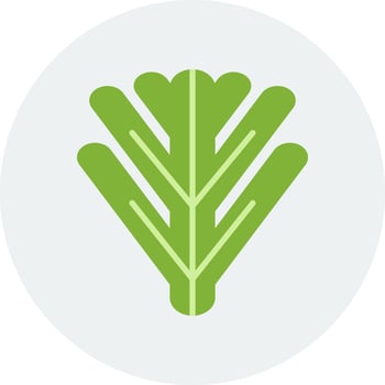 Philodendron Xanadu Vector Icon